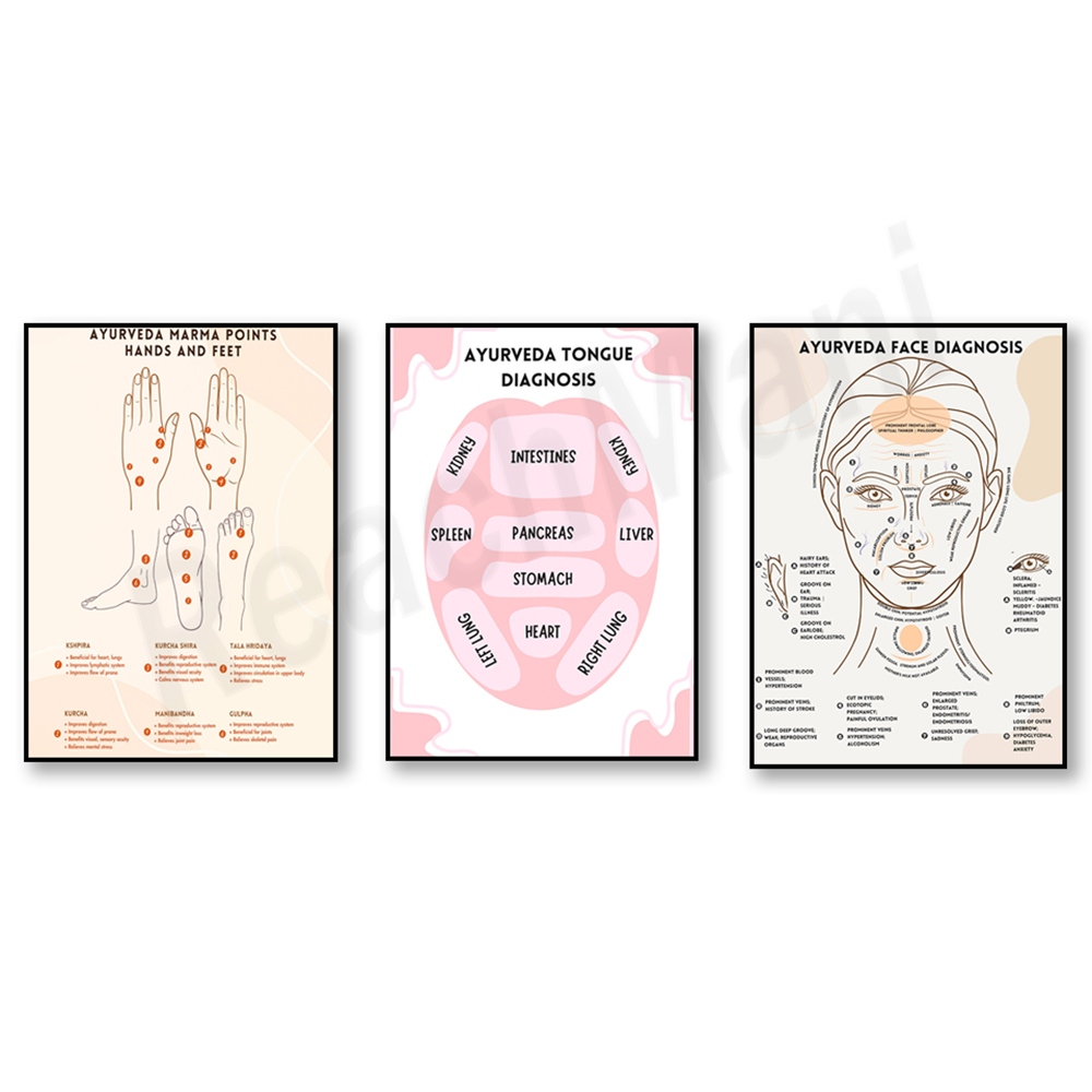 Gráfico de energia ayurvédica, - Ayurvedic & Herbal Wellness Kits avaliação e preço