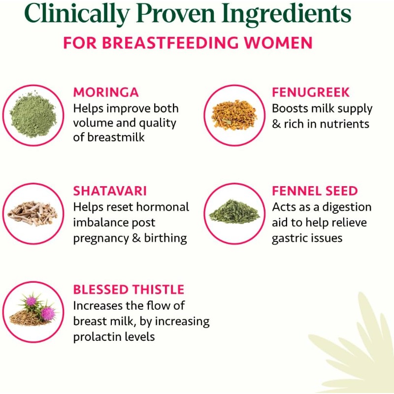 60 Cápsulas de Suplemento Ayur - Ayurvedic & Herbal Wellness Kits avaliação e preço