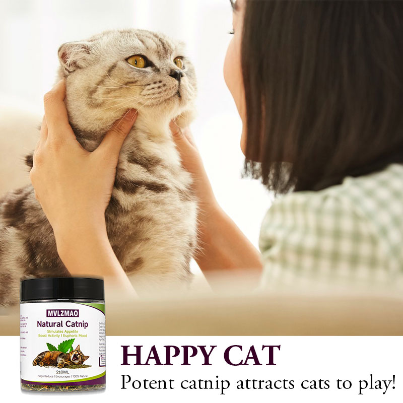 Brinquedos para gatos - Silver - Nettle Leaf Tea avaliação e preço